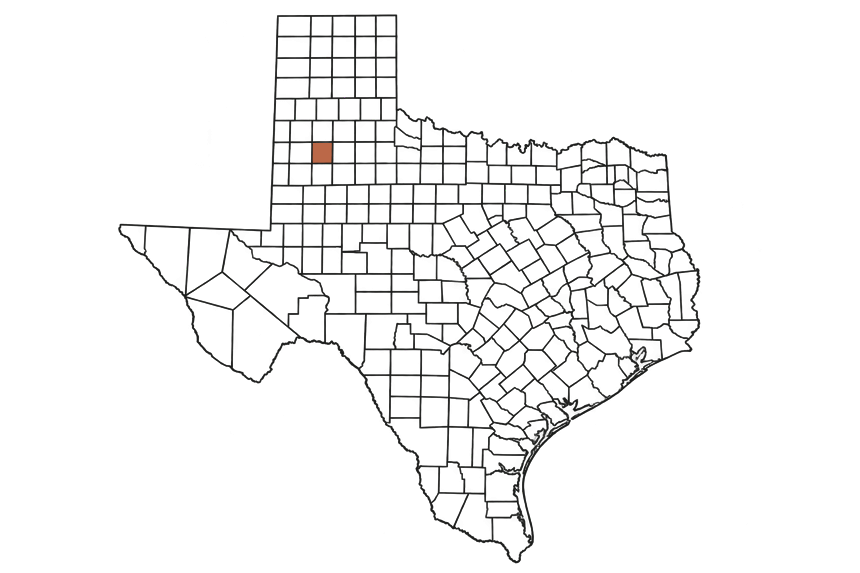 Lubbock County Texas Jobs