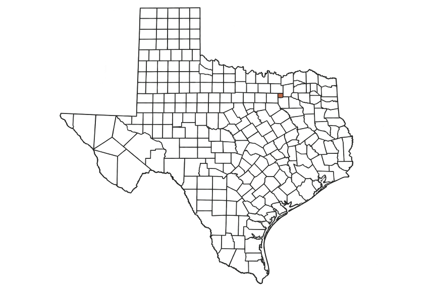 Rockwall County Texas Jobs